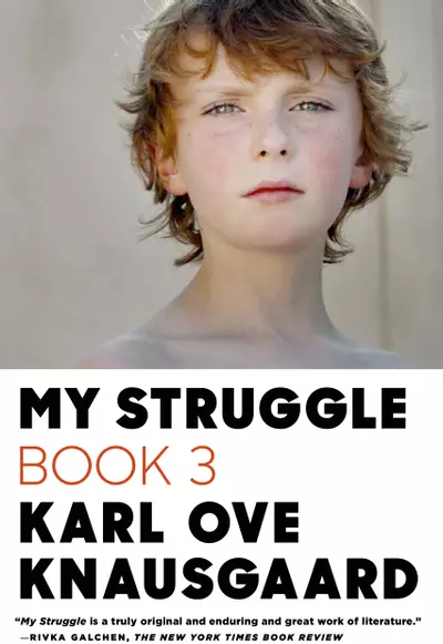 My Struggle: Book 3 book cover