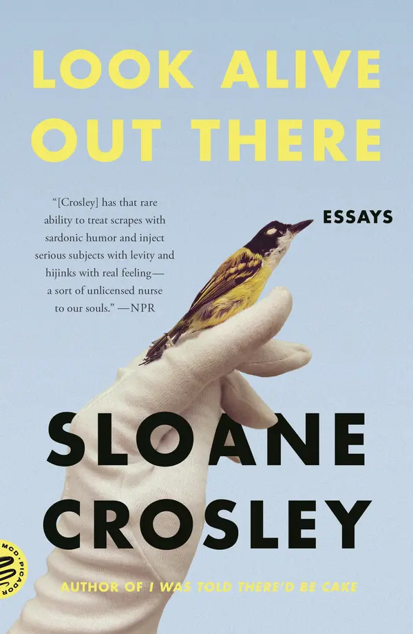 Look Alive Out There by Sloane Crosley cover