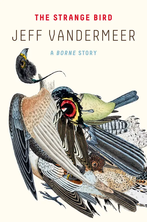 The Strange Bird by Jeff VanderMeer cover