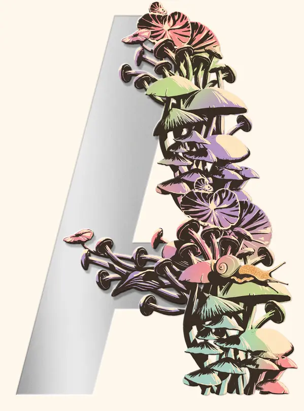 Ambergris by Jeff VanderMeer cover