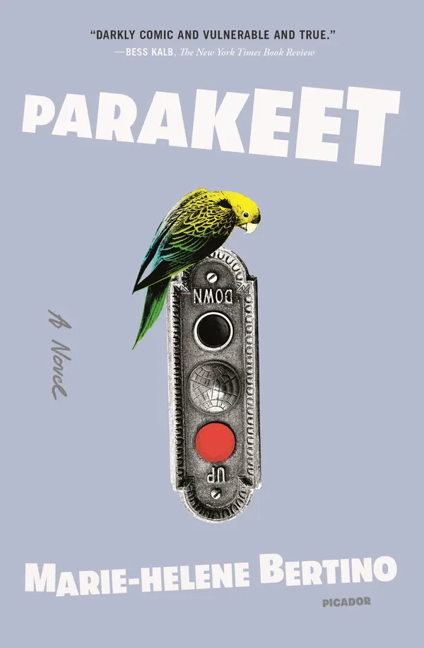 Parakeet by Marie-Helene Bertino cover