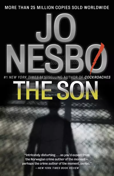 The Son book cover