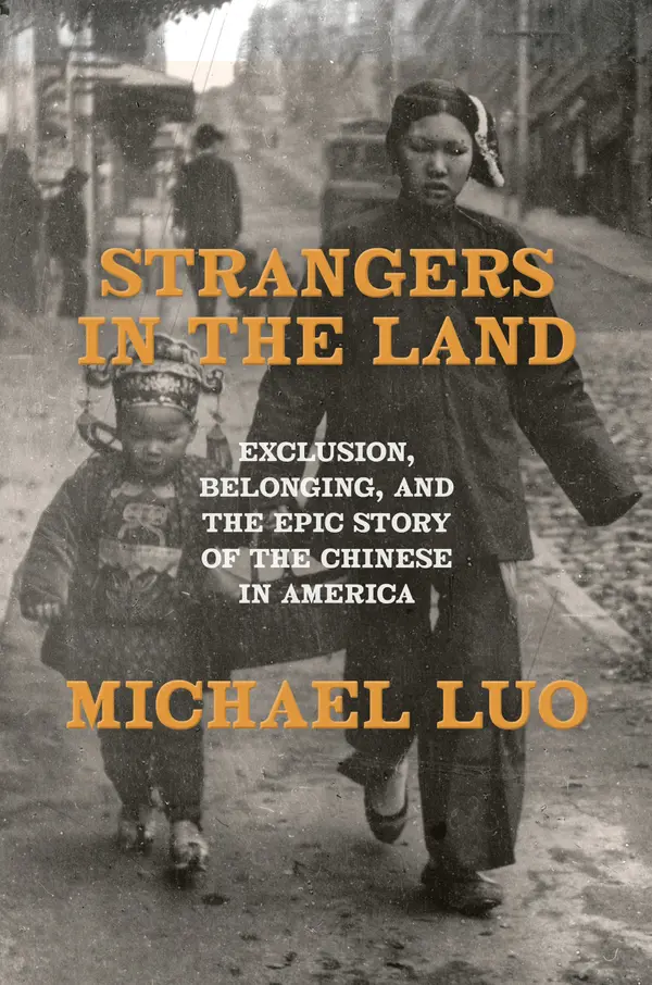 Strangers in the Land by Michael Luo cover