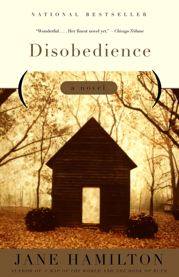 Disobedience by Jane Hamilton cover
