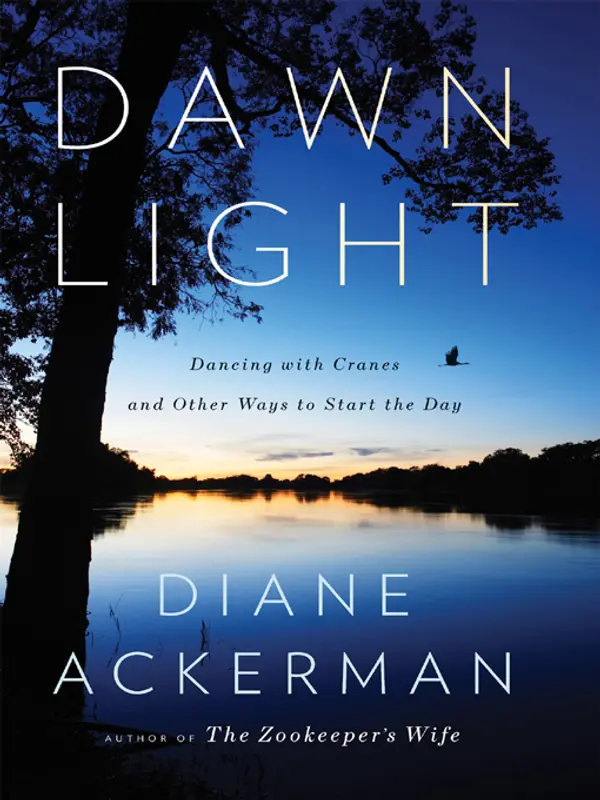 Dawn Light by Diane Ackerman cover