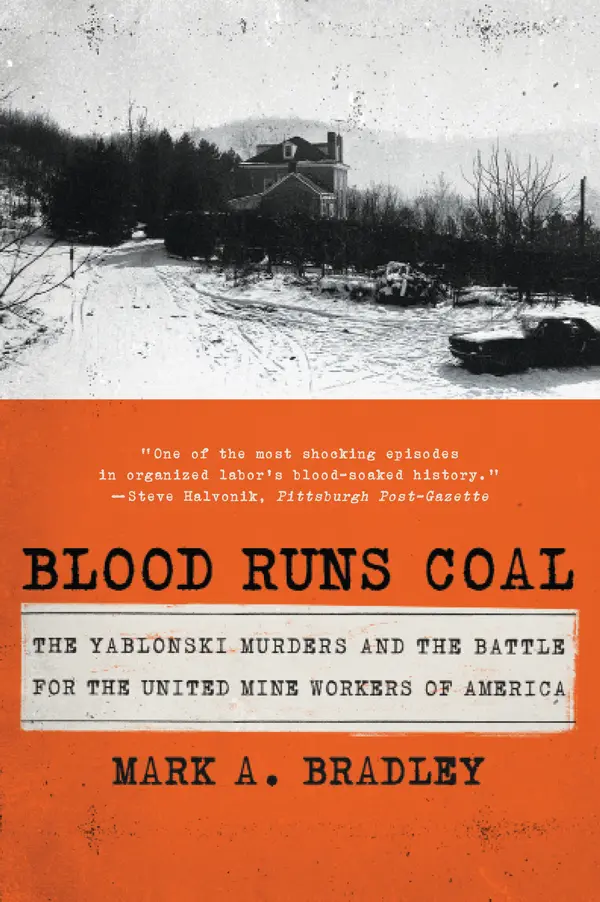 Blood Runs Coal by Mark A. Bradley cover