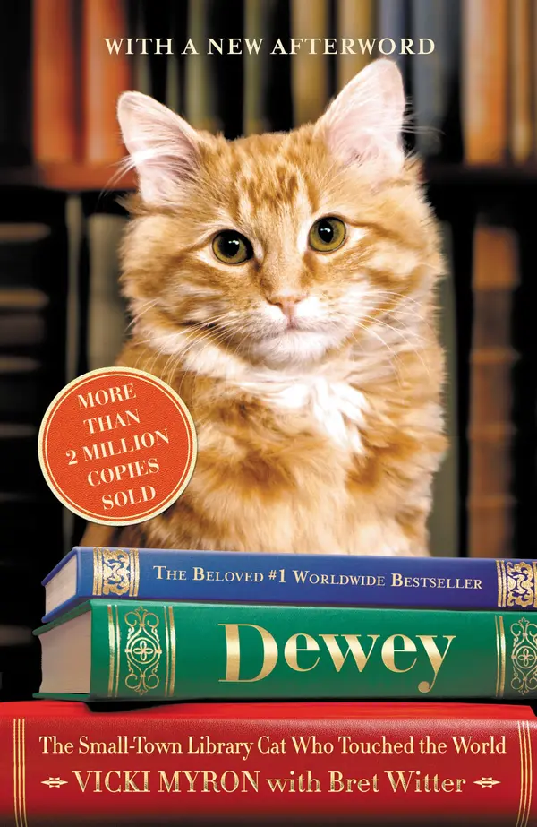 Dewey by Vicki Myron, Bret Witter cover