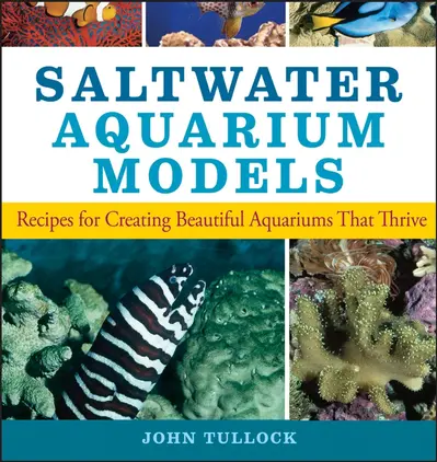Saltwater Aquarium Models book cover