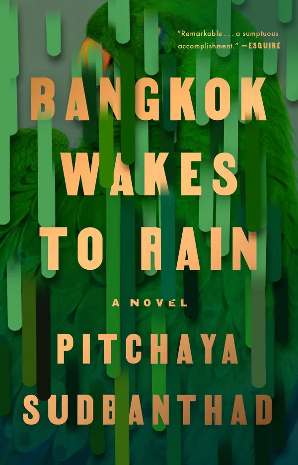 Bangkok Wakes to Rain by Pitchaya Sudbanthad cover