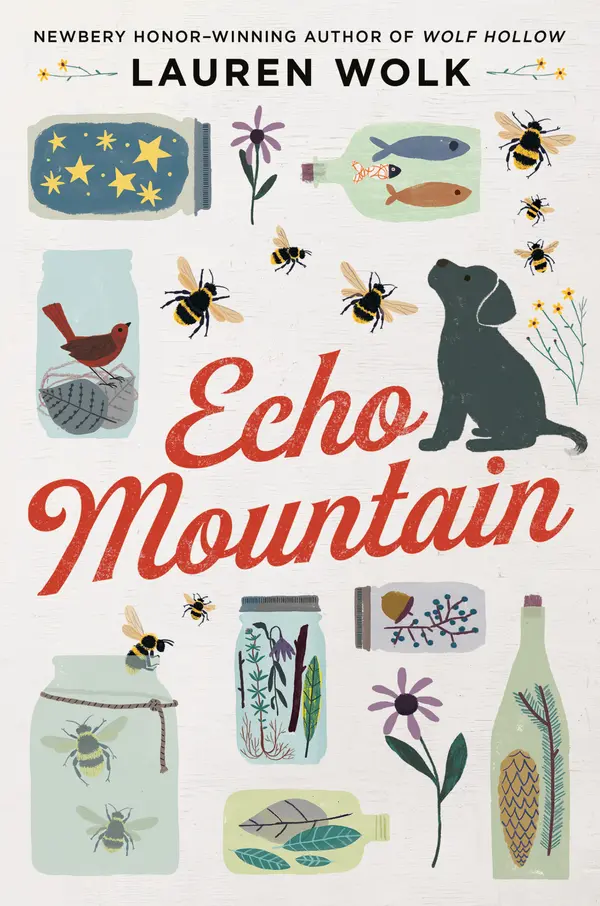 Echo Mountain by Lauren Wolk cover