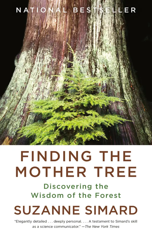 Finding the Mother Tree by Suzanne Simard cover