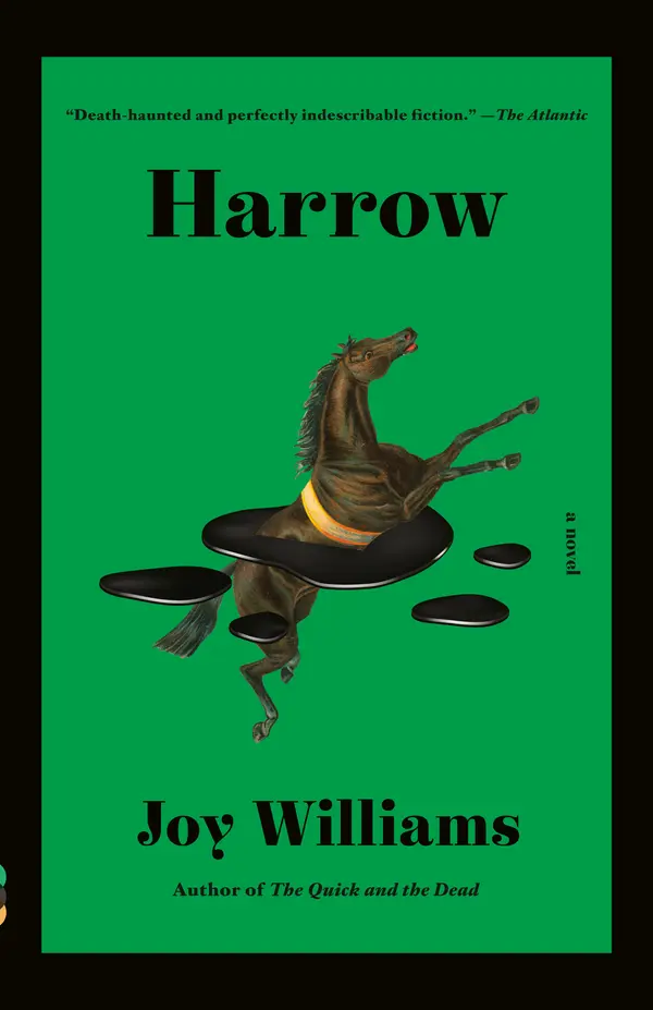 Harrow by Joy Williams cover
