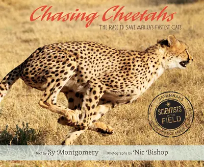 Chasing Cheetahs book cover