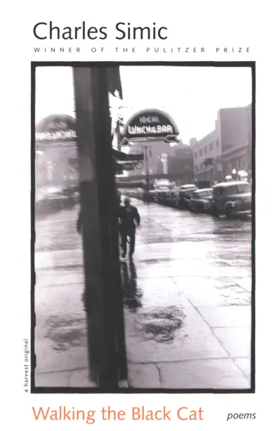 Walking The Black Cat book cover