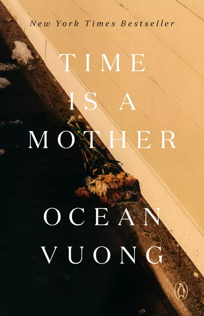 Time Is a Mother book cover