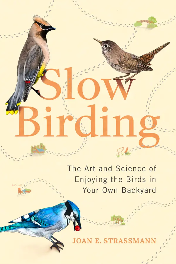 Slow Birding by Joan E. Strassmann cover