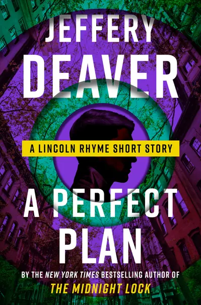 A Perfect Plan book cover