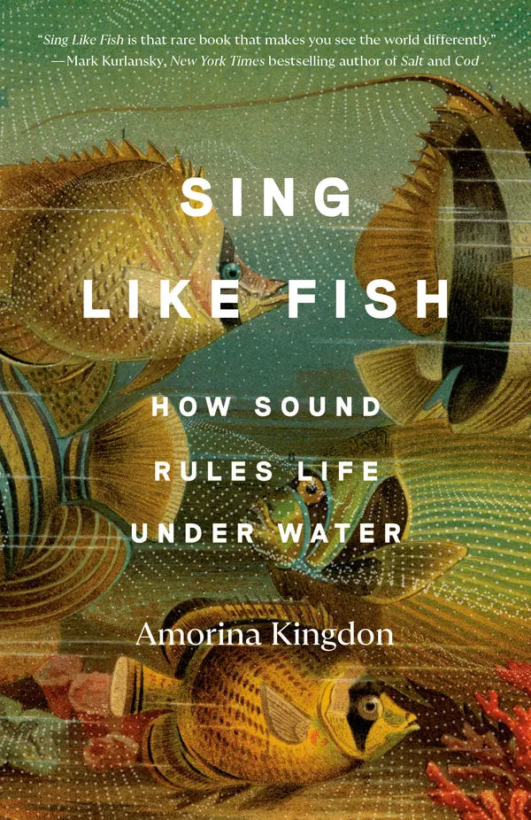 Sing Like Fish by Amorina Kingdon cover
