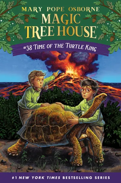Time of the Turtle King book cover