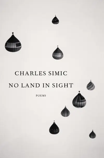 No Land in Sight book cover