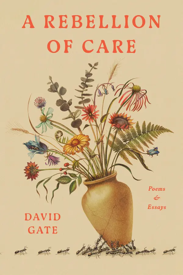 A Rebellion of Care by David Gate cover