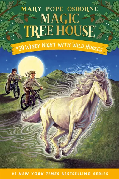 Windy Night with Wild Horses book cover