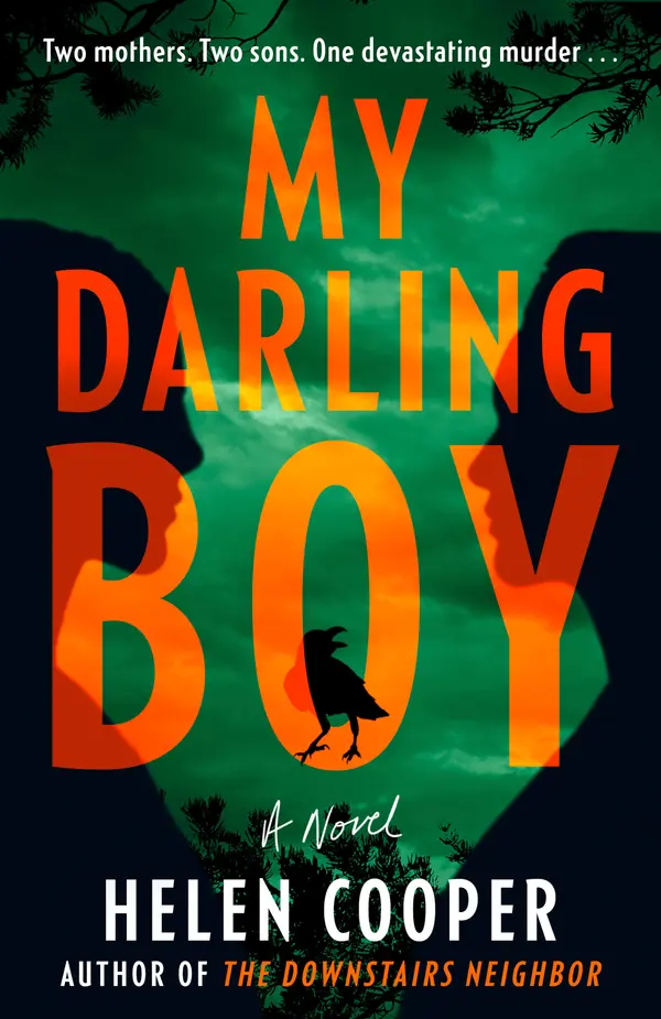 My Darling Boy by Helen Cooper cover