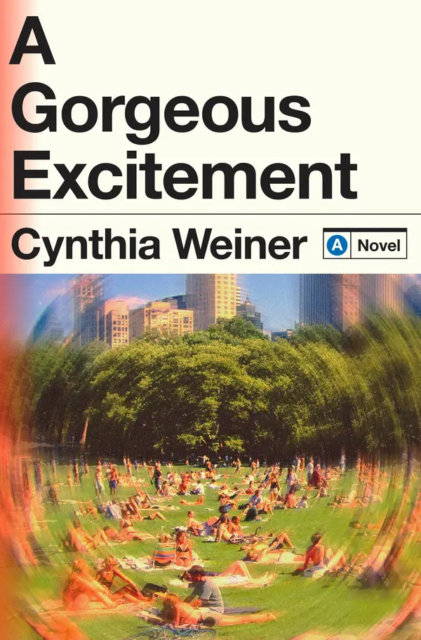 A Gorgeous Excitement by Cynthia Weiner cover