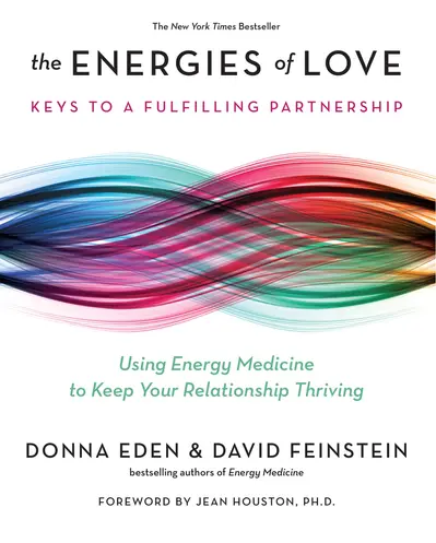 The Energies of Love book cover