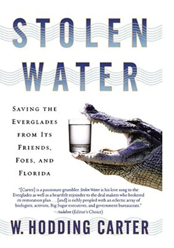 Stolen Water: Saving the Everglades from Its Friends, Foes, and Florida by W. Hodding Carter IV cover