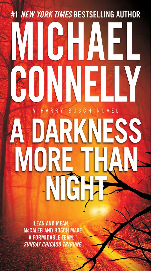 A Darkness More Than Night by Michael Connelly cover