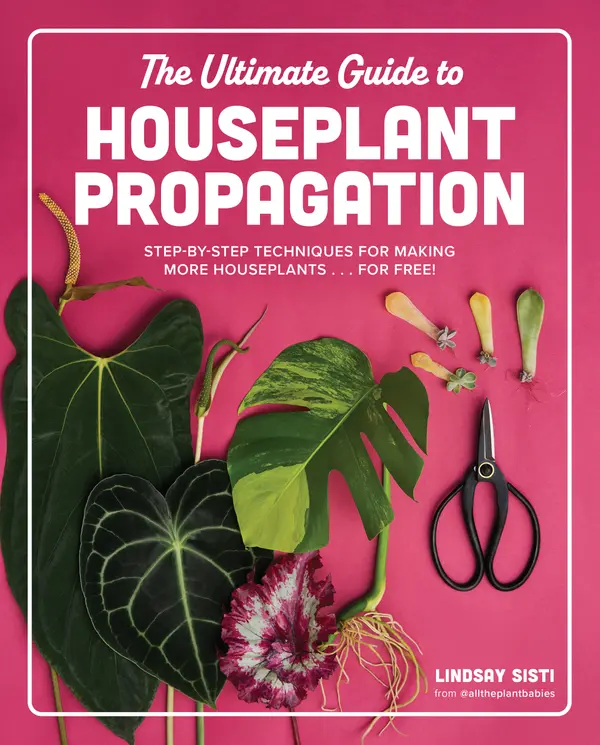 The Ultimate Guide to Houseplant Propagation by Lindsay Sisti cover