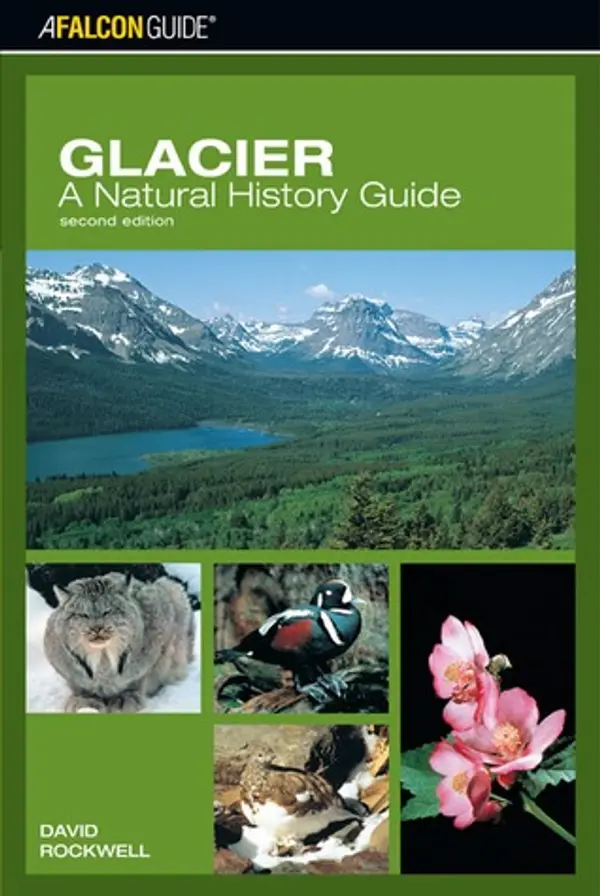 Glacier: A Natural History Guide by David Rockwell cover