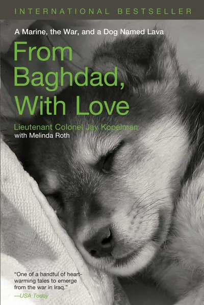 From Baghdad with Love book cover