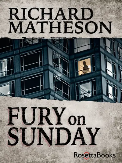 Fury on Sunday book cover