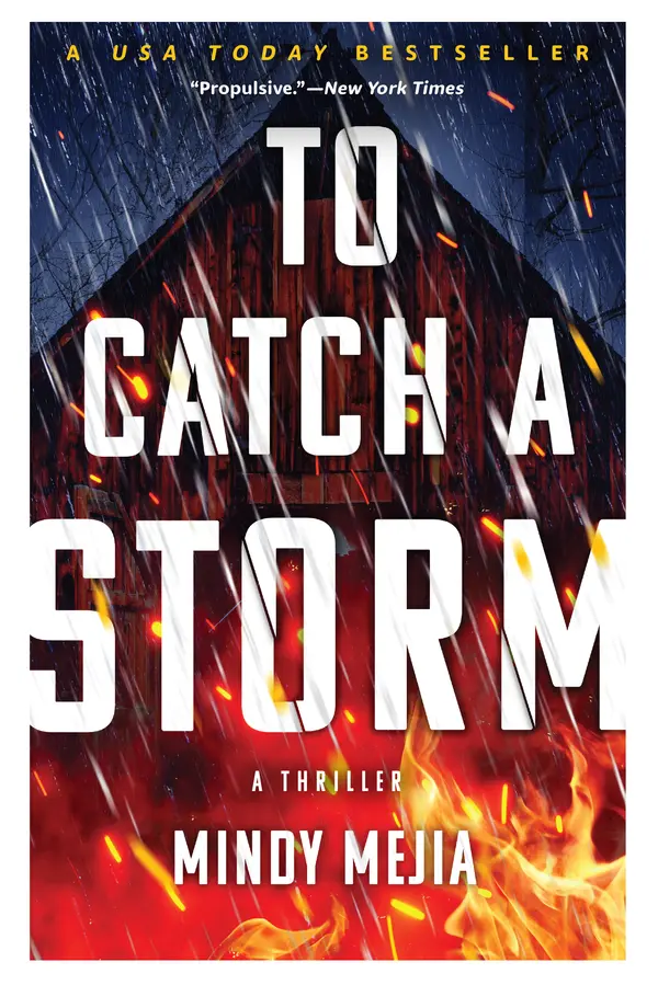 To Catch a Storm by Mindy Mejia cover