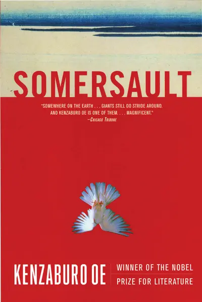 Somersault book cover