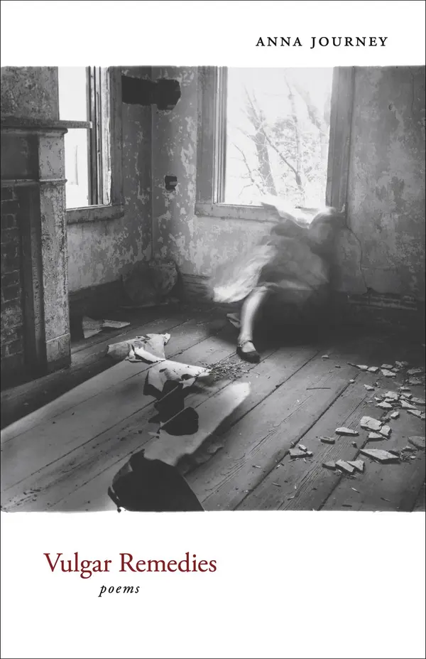 Vulgar Remedies by Anna Journey cover