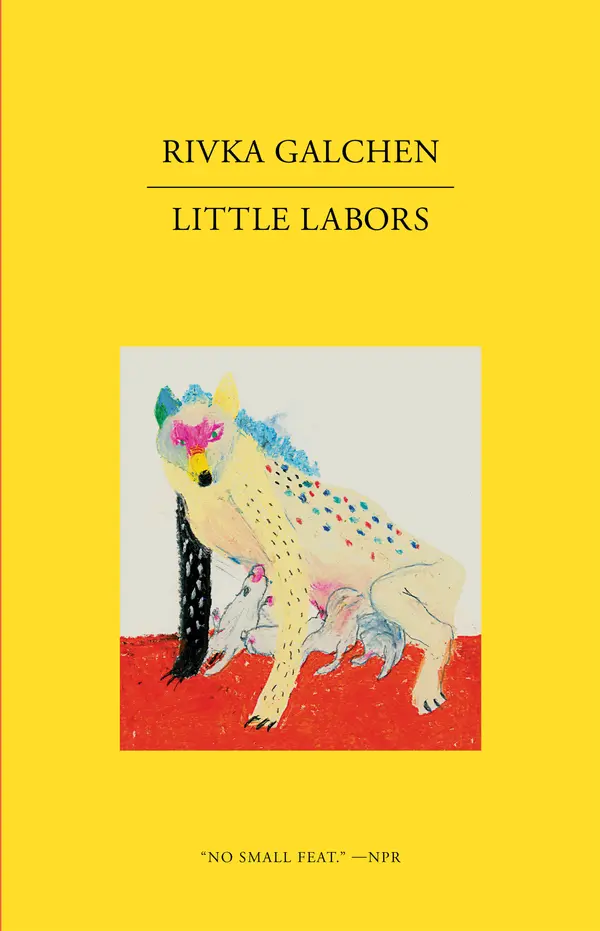 Little Labors by Rivka Galchen cover