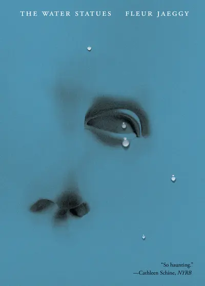 The Water Statues book cover