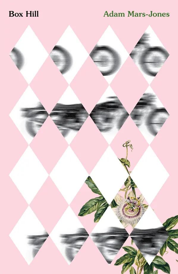 Box Hill by Adam Mars-Jones cover