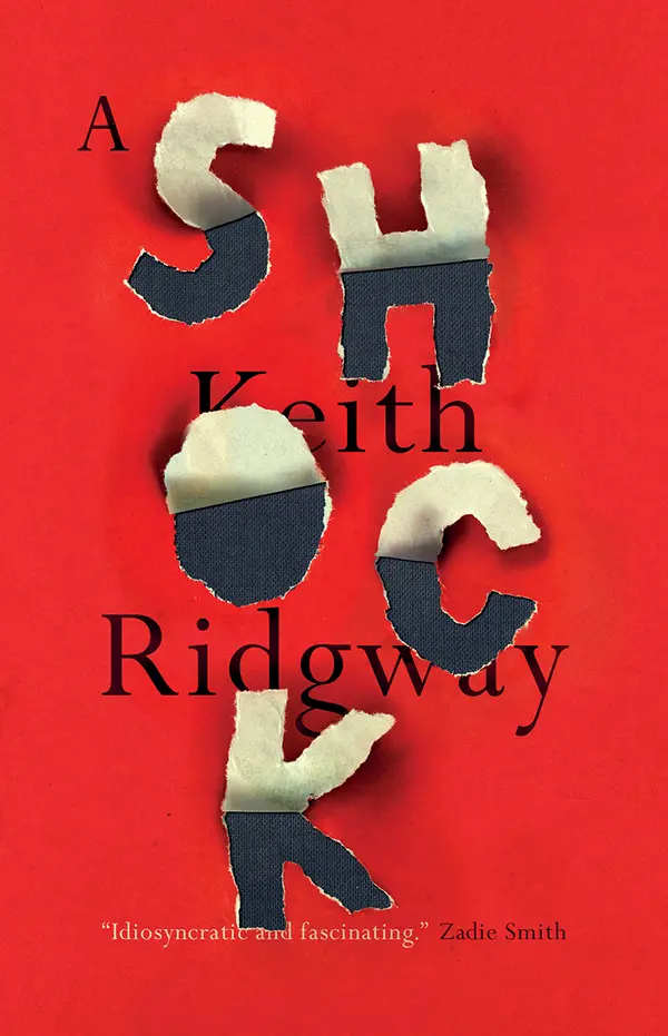 A Shock by Keith Ridgway cover
