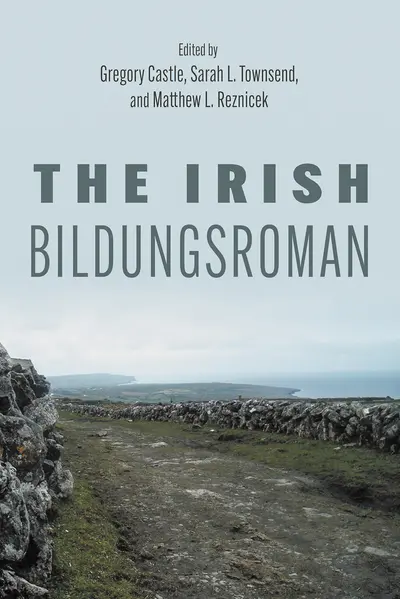 The Irish Bildungsroman book cover