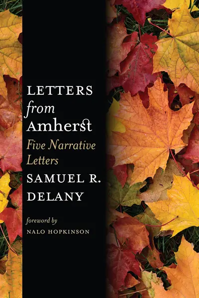 Letters from Amherst book cover
