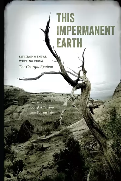 This Impermanent Earth book cover