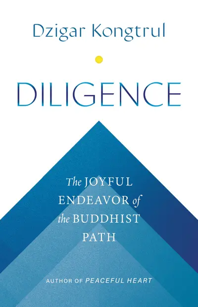 Diligence book cover