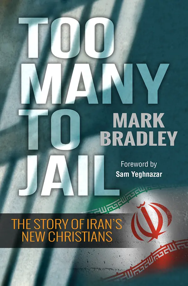 Too Many to Jail by Mark Bradley cover