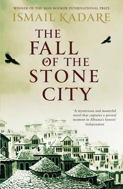The Fall of the Stone City book cover