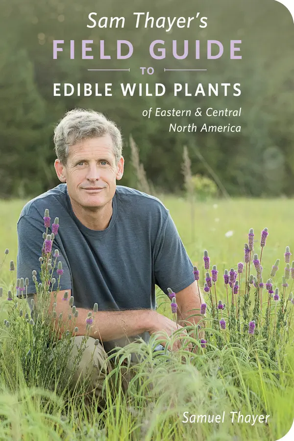 Sam Thayer's Field Guide to Edible Wild Plants: of Eastern and Central North America (The Sam Thayer's Field Guides) by Samuel Thayer cover