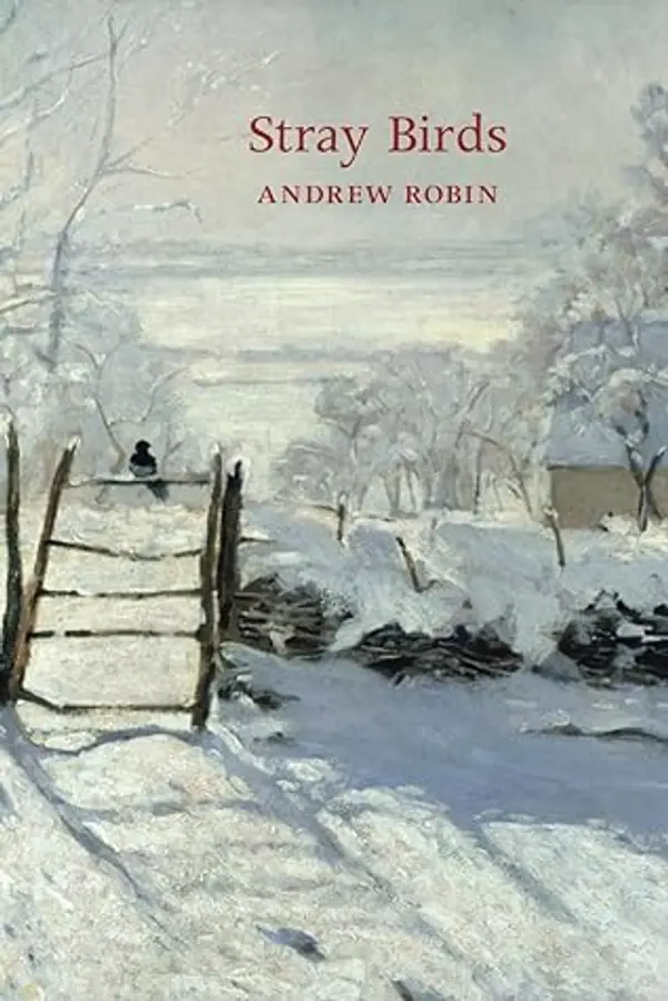 Stray Birds by Andrew Robin cover